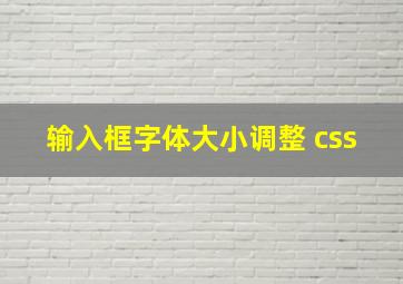 输入框字体大小调整 css